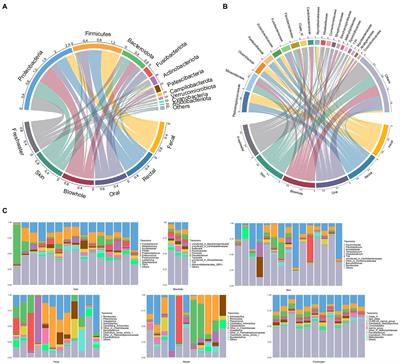 The bacteria of Yangtze finless porpoise (Neophocaena asiaeorientalis asiaeorientalis) are site-specific and distinct from freshwater environment